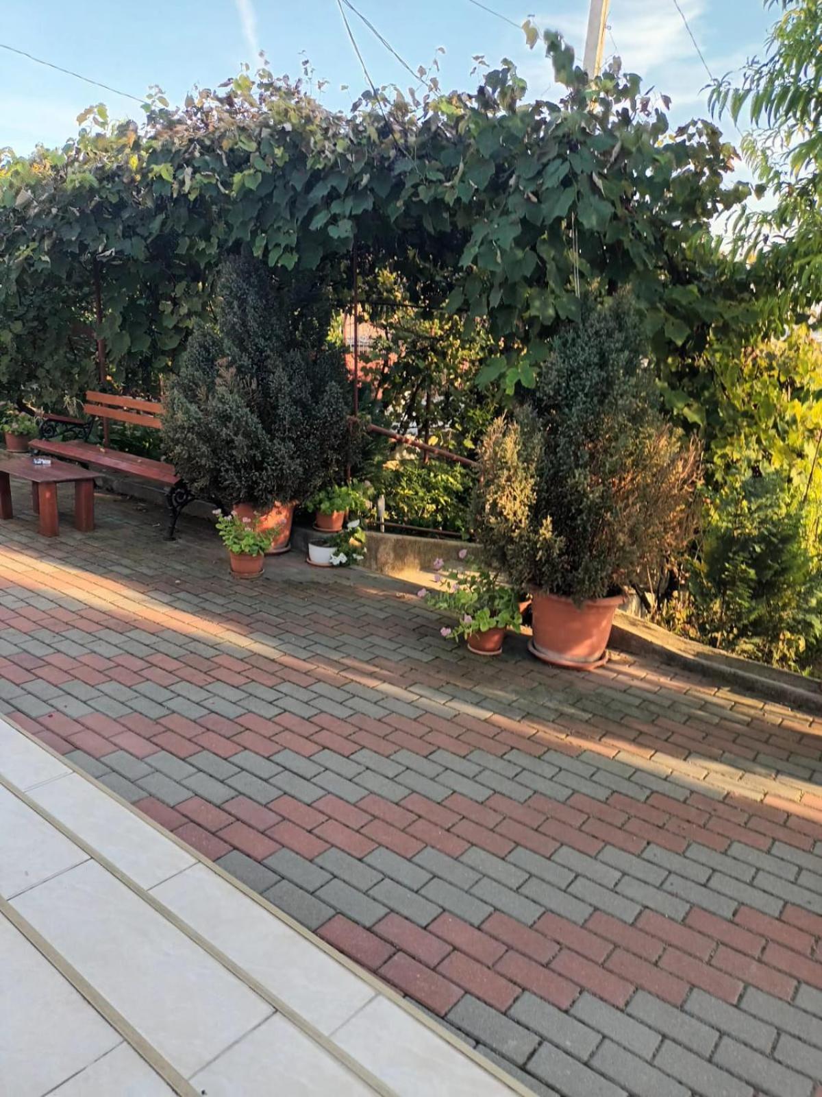 Casa Matei Villa Turda Eksteriør billede